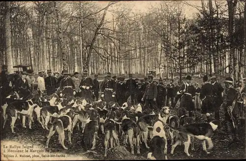 Ak Le Rallye Juigne, Jagd, Jagdhunde, Waldpartie