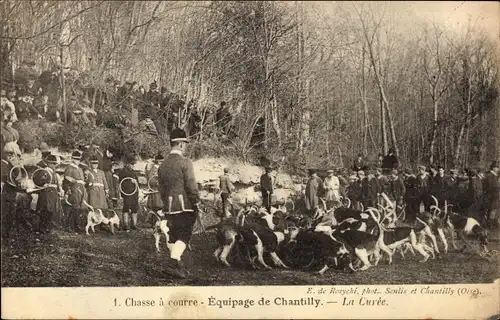 Ak Chasse a courre, Equipage de Chantilly, La Curee