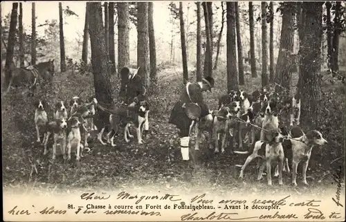 Ak Chasse a courre en Foret de Fontainebleau, Avant le decoupler