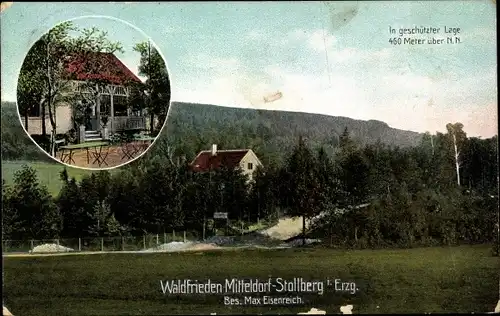Ak Mitteldorf Stollberg im Erzgebirge, Waldfrieden, Bes. Max Eisenreich, Waldlandschaft