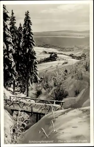 Ak Oberwiesenthal im Erzgebirge, Schönjungferngrund, Brücke, Winter