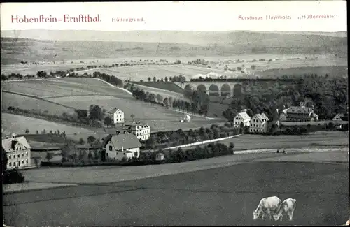 Ak Hohenstein Ernstthal, Hüttengrund, Forsthaus Haynholz, Hüttenmühle, Kühe