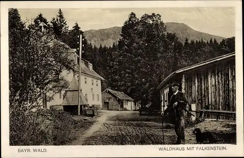 Ak Falkenstein in der Oberpfalz, Waldhaus