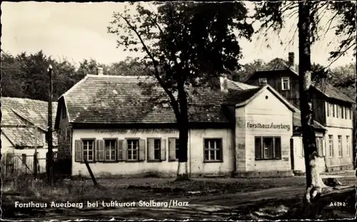 Ak Stolberg im Harz, Forsthaus Auerberg
