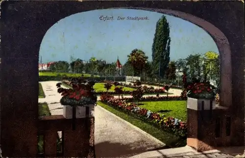 Ak Erfurt in Thüringen, Der Stadtpark