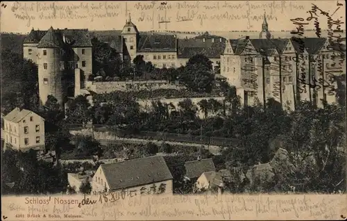 Ak Nossen in Sachsen, Schloss