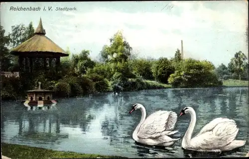 Ak Reichenbach im Vogtland, Stadtpark, Schwäne