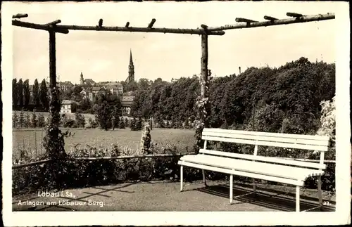 Ak Löbau in Sachsen, Anlagen am Löbauer Berg