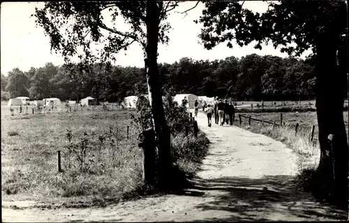 Ak Chaam Nordbrabant Niederlande, Recreatiecentrum De Flaasbloem, Overzicht weide