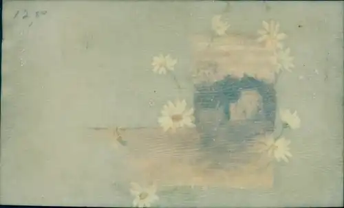 Zelluloid Ak Margeriten, Wohnhaus, Dorf