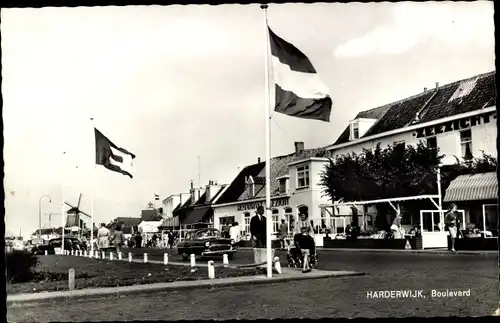 Ak Harderwijk Gelderland, Boulevard, Windmühle