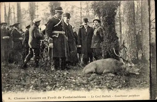 Ak Chasse a Courre en Foret de Fontainebleau, Le Cerf Hallali, Courteaut perplexe, Jagd