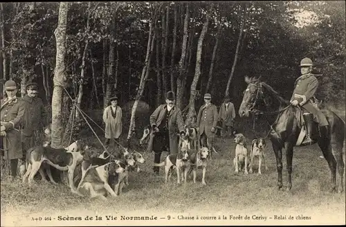 Ak Scenes de la Vie Normandie, Chasse a courre a la Forer de Cerisy, Relai de chiens