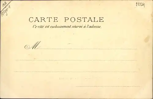 Ak Types Algeriens, Groupe de Chameaux