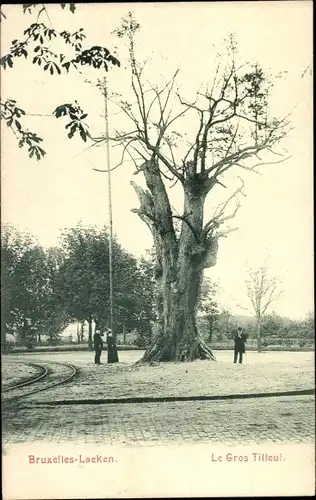 Ak Laeken Bruxelles Brüssel, Le Gros Tilleul
