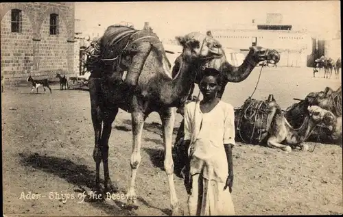 Ak Aden Jemen, Ships of the Desert