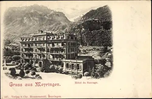 Ak Meyringen Meiringen Kanton Bern, Hotel du Sauvage