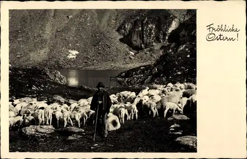 Ak Glückwunsch Ostern, Schäfer mit Schafherde