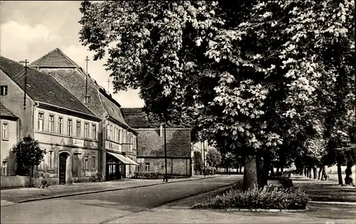 Ak Annaburg in Sachsen Anhalt, Karl Marx Platz mit Kastanienallee