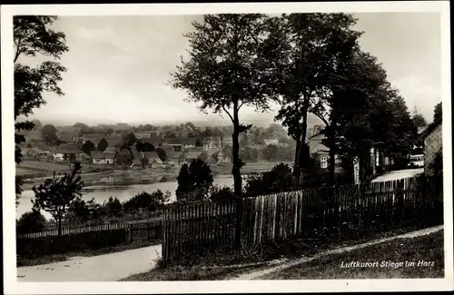 Ak Stiege Oberharz am Brocken, Ortsansicht