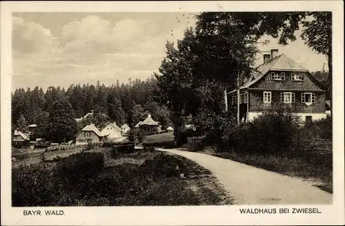 Ak Zwieslerwaldhaus Zwieseler Waldhaus Lindberg im Bayerischen Wald, Ortspartie