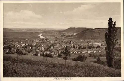 Ak Merzig an der Saar, Panorama
