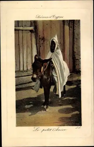 Ak Scenes et Types, Le petit Anier, Maghreb, Esel