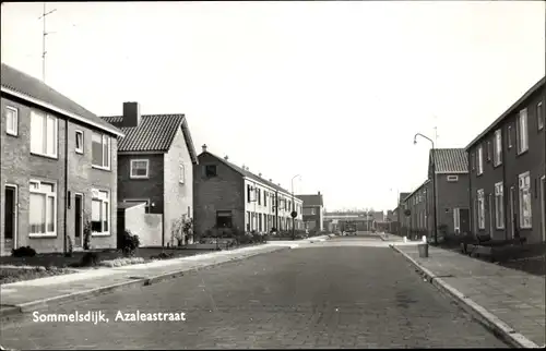 Ak Sommelsdijk Insel Goeree Overflakkee Südholland, Azaleastraat