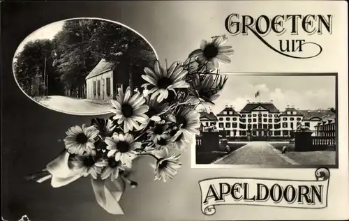 Ak Apeldoorn Gelderland, Paleis Het Loo