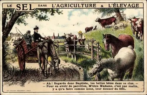 Ak Le Sel dans l'Agriculture & l'Elevage, Erschöpftes Pferd zieht einen Wagen