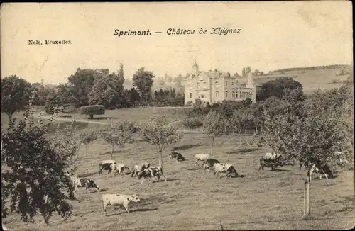 Ak Sprimont Wallonien Lüttich, Château de Chingez