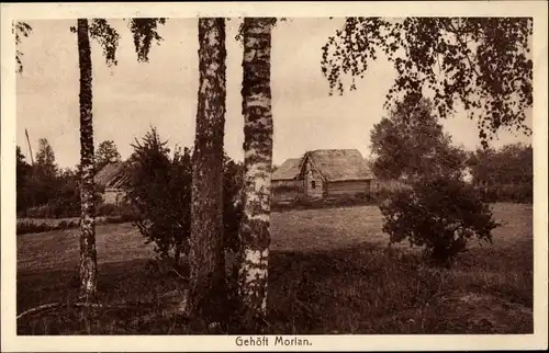 Ak Kurland Lettland, Gehöft Morian, I WK