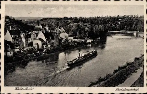 Ak Halle an der Saale, Saallandschaft