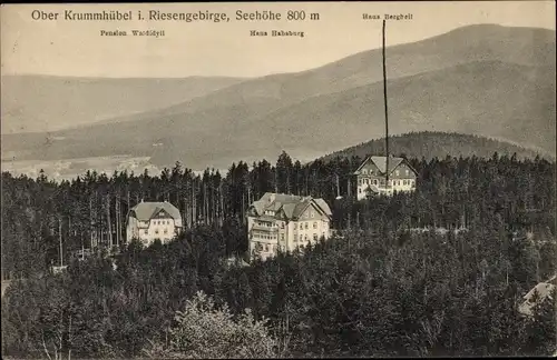 Ak Karpacz Górny Brückenberg Krummhübel Riesengebirge Schlesien, Pension Waldidyll