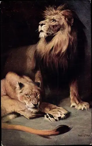 Künstler Ak Styka, T., Lwy, Löwen, Löwin