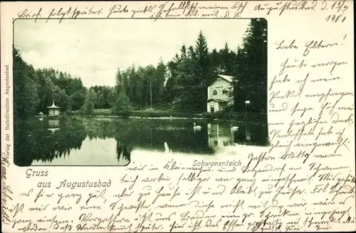 Ak Liegau Augustusbad Radeberg in Sachsen, Schwanenteich