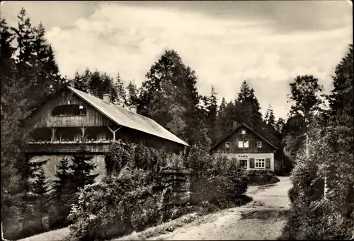 Ak Venusberg Drebach im Erzgebirge, Pension Waldhof