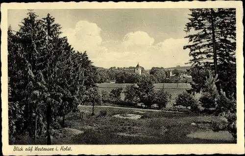 Ak Westensee in Holstein, Blick auf den Ort, Panorama