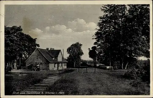 Ak Osterode am Harz, Dammhaus, Panorama