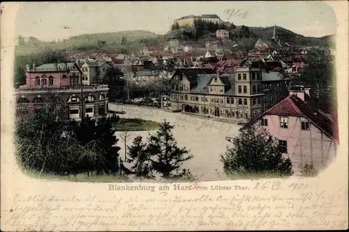 Ak Blankenburg am Harz, Blick vom Lühner Thor