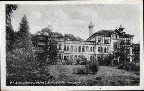 Ak Gommern Sachsen Anhalt, DRK Heilstätte Vogelsang