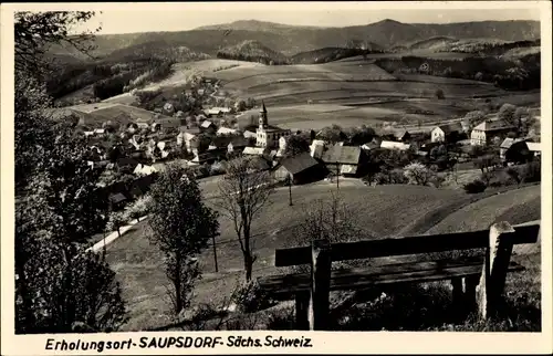 Ak Saupsdorf Sebnitz Sachsen, Gesamtansicht