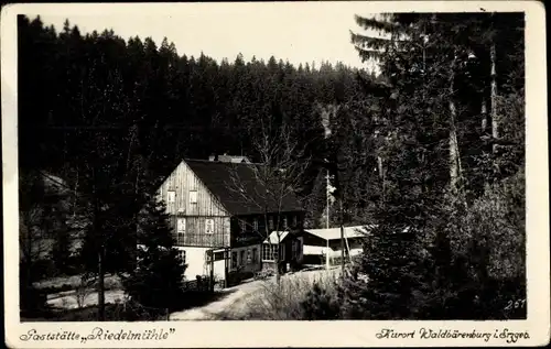 Ak Waldbärenburg Bärenburg Altenberg im Erzgebirge, Gaststätte Riedelmühle