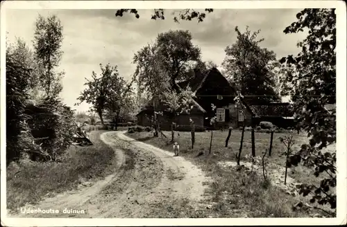 Ak Udenhout Nordbrabant Niederlande, Udenhoutse duinen