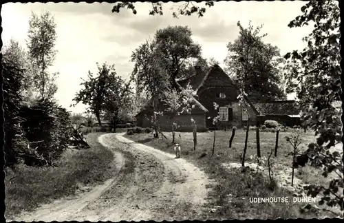 Ak Udenhout Nordbrabant, Udenhoutse Duinen