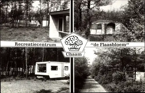 Ak Chaam Nordbrabant Niederlande, Recreatiecentrum de Flaasbloem, Zelt, Campingwagen