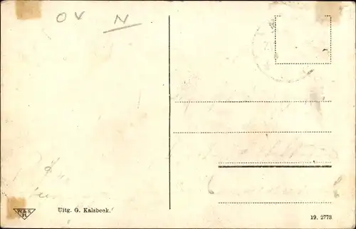 Ak Steenwijk Overijssel, Huize Nijenstede