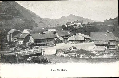 Ak Les Moulins Kt. Waadt, Teilansicht