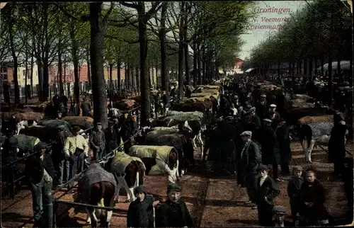 Ak Groningen Niederlande, Veemarkt