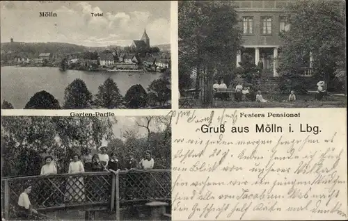 Ak Mölln im Herzogtum Lauenburg, Gesamtansicht, Festers Pensionat, Garten